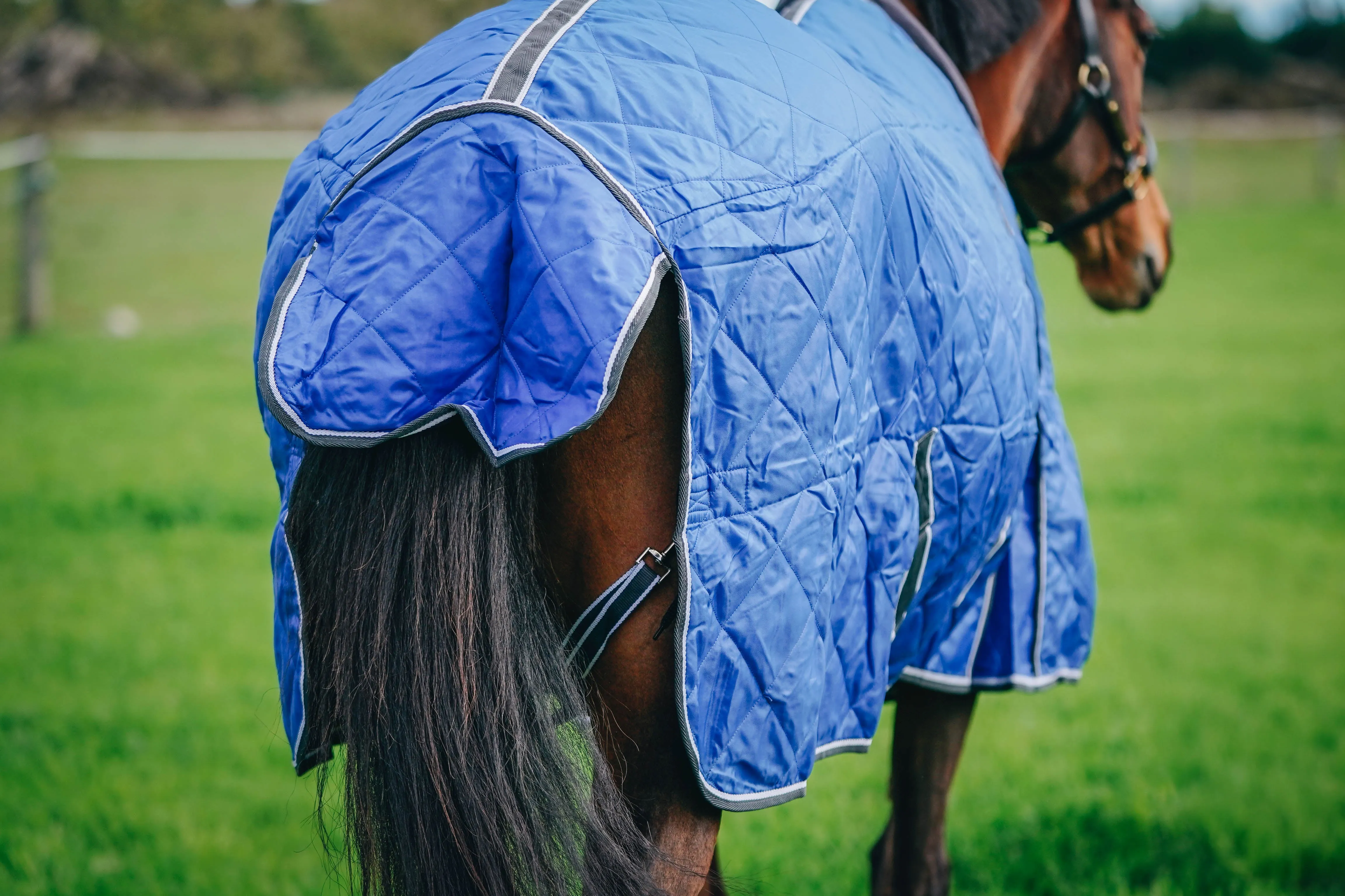 100g Royal Blue Quilted Doona (Pony)