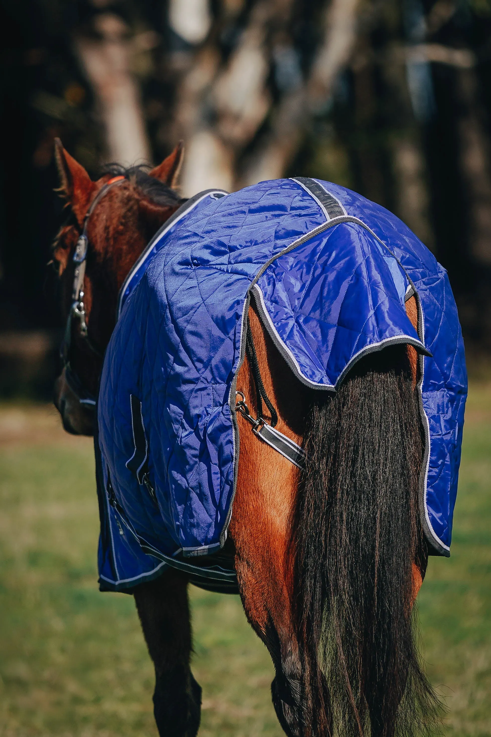 100g Royal Blue Quilted Doona (Pony)