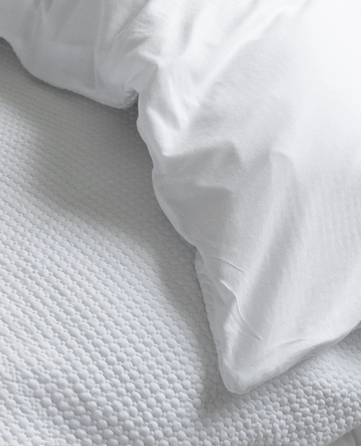 Cozy Reversible Cotton Jersey White
