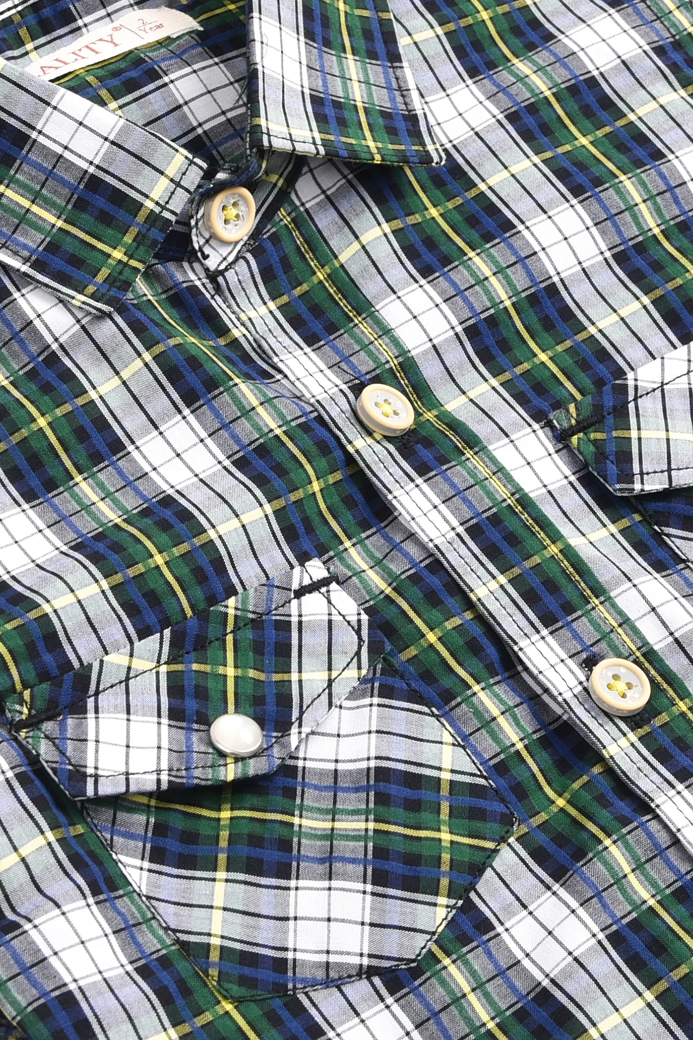 Multicolor Checked Casual Shirt