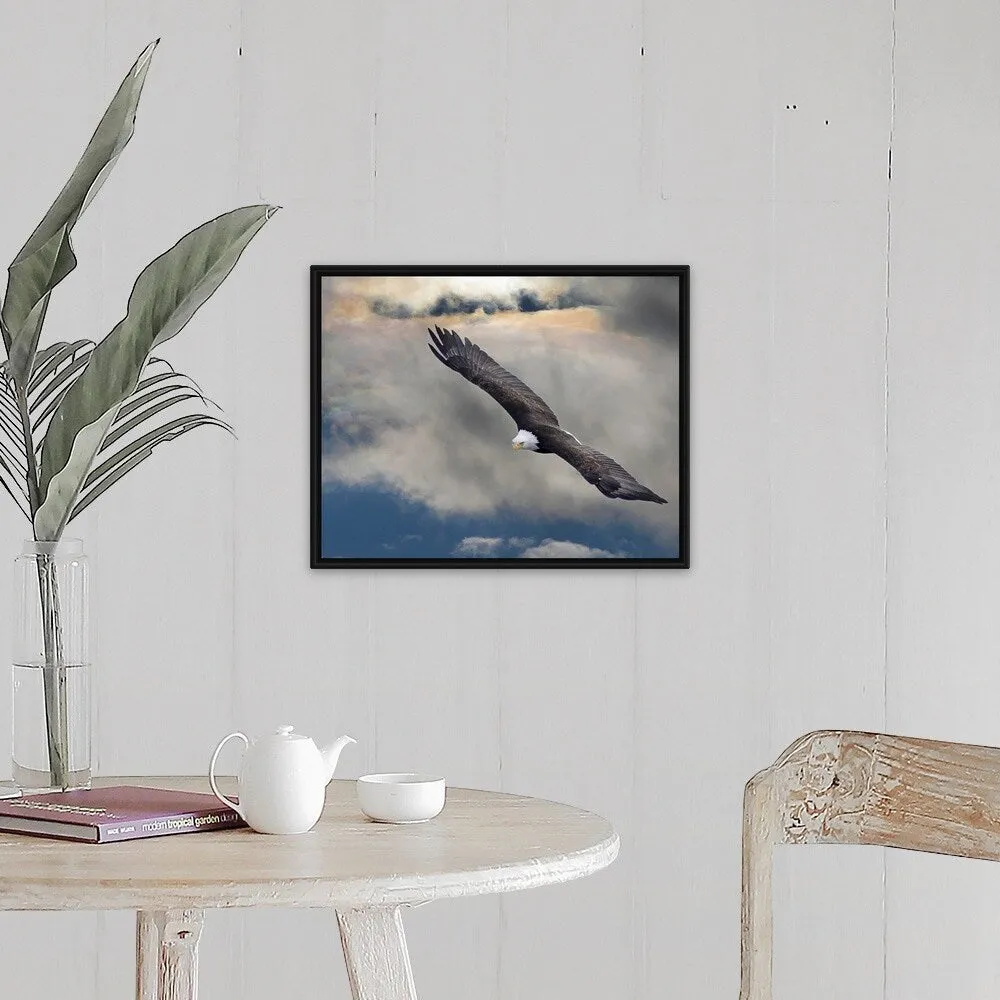 "an eagle in flight rising above the storm" Black Float Frame Canvas Art