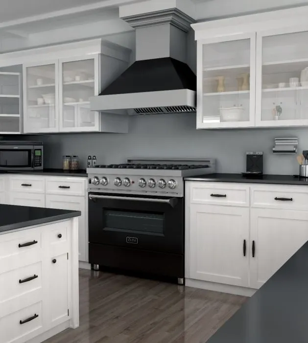 ZLINE 36 IN. Professional Dual Fuel Range in Snow Stainless with Black Matte Door (RAS-BLM-36)