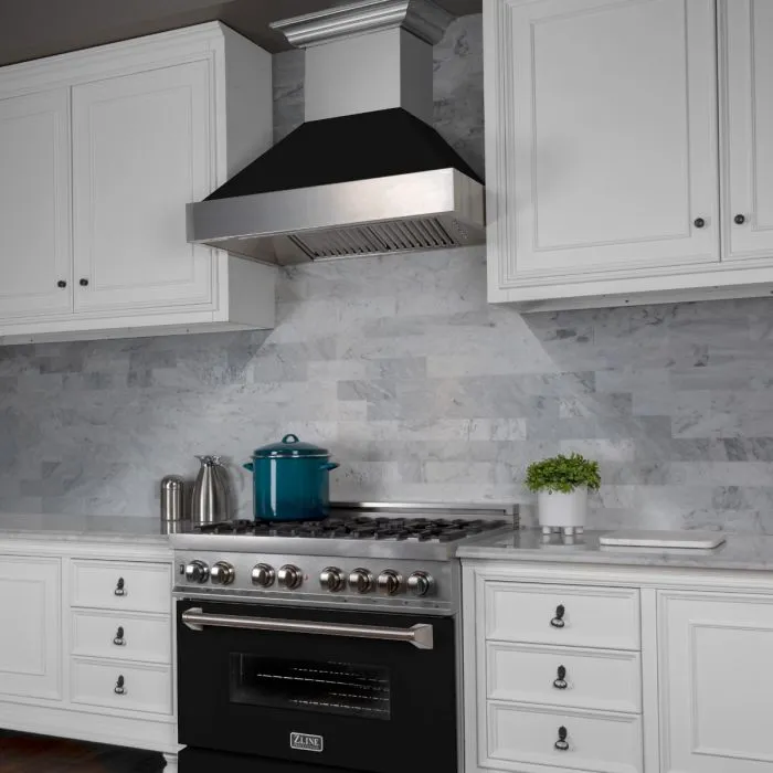 ZLINE 36 IN. Professional Dual Fuel Range in Snow Stainless with Black Matte Door (RAS-BLM-36)