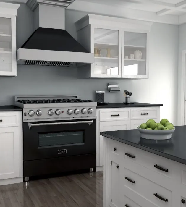 ZLINE 36 IN. Professional Dual Fuel Range in Snow Stainless with Black Matte Door (RAS-BLM-36)